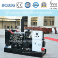 30kVA Silent Diesel Generator Powered by Chinese Yangdong Engine